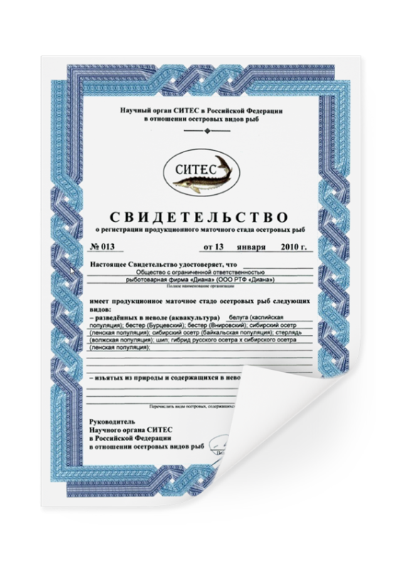 Сертификат СИТЕС